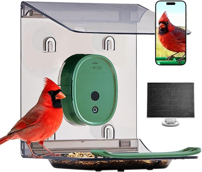 Smart Bird Feeder with Camera Solar Powered,2K UHD Video Live Stream,Easy Set Up,AI Bird Species Identification, Auto Capture Videos&5MP Photos,Instant Alerts,Gifts for Bird Lovers