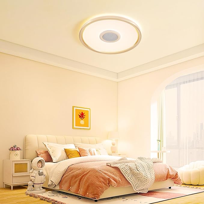 RGB LED Ceiling Light, with Bluetooth Speaker, 24W 12 Inch Smart Music Ceiling Lamp with App and Remote Control, 3000K-6500K Color Changing Lights Fixture for Child Bedroom Bathroom, Silver