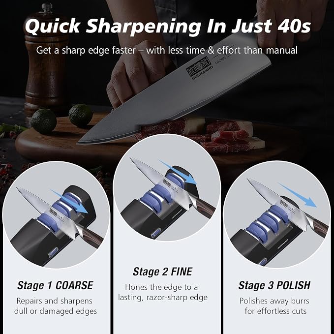 HOSHANHO Electric Knife Sharpener, Professional 3-Stage Diamond Knife Sharpener Electric, Replaceable Grinding Wheels & 20° Precision Guide for Kitchen Knives, Quick Sharpening to Restore & Polish