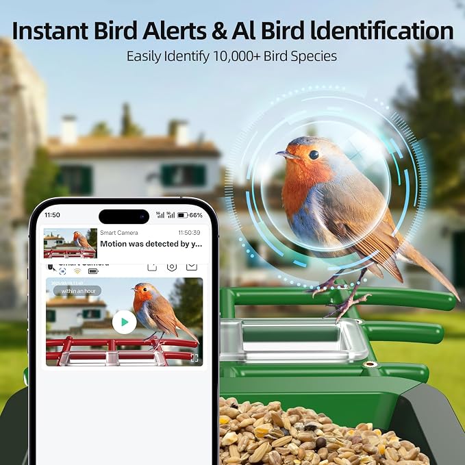 3K HD Smart Bird Feeder with Camera, 2.4GHz WiFi Solar Powered Smart Feeder, AI Bird Species Identification & Real-Time App Alerts, Chew-Proof & Waterproof for Outdoors（Green）-1