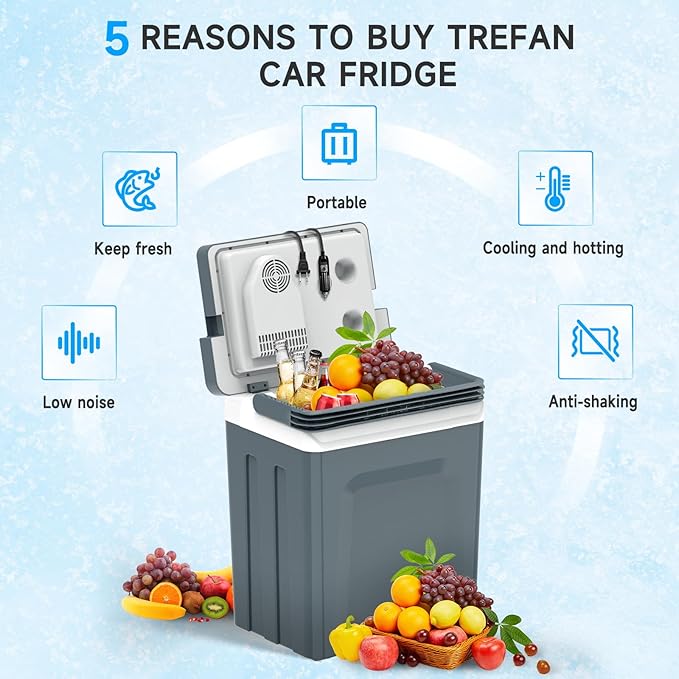 TopAutoGear 30L Portable Electric Cooler & Warmer, Small Refrigerator with Handle, 110V AC and 12V DC Car Fridge, Camping/Outdoor/Travel Cooler for Vehicles & Trucks, Grey