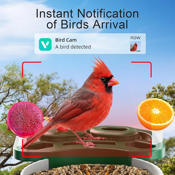 SV3C Bird Feeder with Camera Solar Powered, Smart Camera Bird Feeder with AI Identify BirdSpecies, Instant Alerts, 2K HD Video, Various DIY Addons, 2.4G WiFi, Gift for Mom Dad and Birdlover (Green)