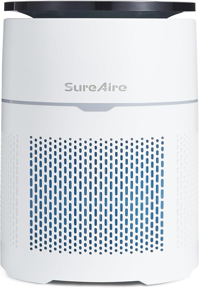 Desktop Air Purifier for Home Office, HEPA Filter for Smoke, Pet Hair - Auto Mode, Low-noise Sleep Mode, Adjustable Light, Compact Design