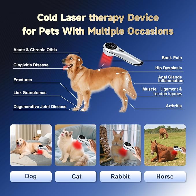 Handheld Red Light Therapy with Magnetic Cover,Cold Laser Red Light Therapy Wand for Pet/Human Treatment Device, Suitable for Muscle Body Pain Relief and Improve Healing (3 * 808nm+13 * 650nm)