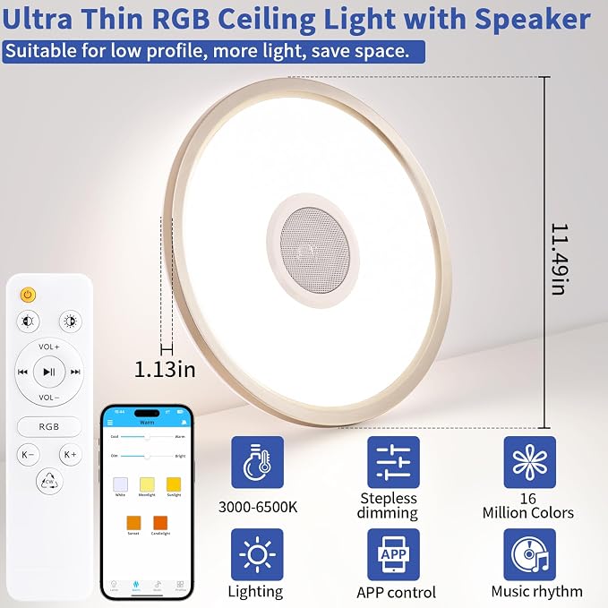 RGB LED Ceiling Light, with Bluetooth Speaker, 24W 12 Inch Smart Music Ceiling Lamp with App and Remote Control, 3000K-6500K Color Changing Lights Fixture for Child Bedroom Bathroom, Silver
