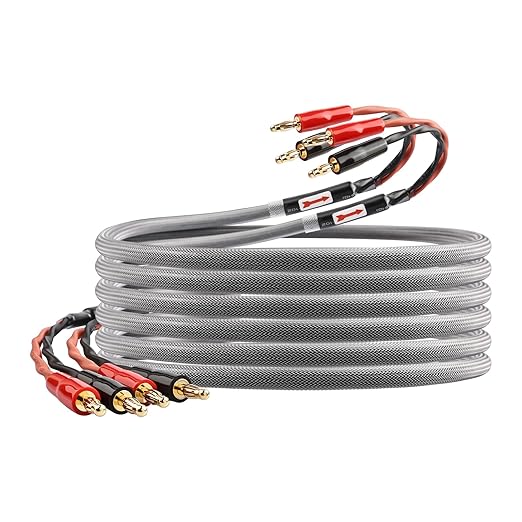 13 AWG Audiophile Speaker Cable – Speaker Wire with Banana Plugs,6N OFC Core, PP Braid,Audio Wire,Compatible with Amplifier, Speakers, AV Receiver& Home Theater(9.84ft/3m)