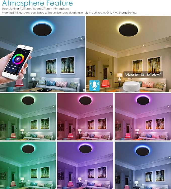 TALOYA Alexa Ceiling Light Smart, WiFi, Compatible with Google, 15.8 Inch Modern Dimmable Flush Mount LED Light Fixture for Living Room Office Kitchen, 28W RGBW