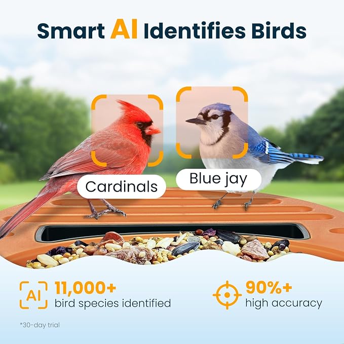 Smart Bird Feeder with Camera, 2.5K UHD Solar Powered WiFi Bird Watching Camera, AI Bird Species Identification, Instant Alerts, IP66 Waterproof Outdoor Wild Bird Feeder, Gift for Dad, Green