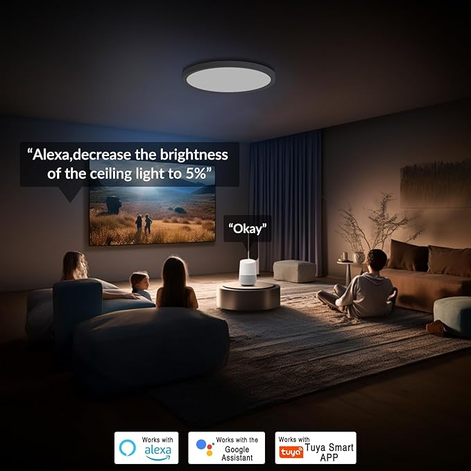 2 Pack Smart RGB LED Ceiling Light with Remote, 12" WiFi Flush Mount Ceiling Light Works with Alexa & Google Home, 24W=2640LM Dimmable, DIY Colors & 2700K-6500K, for Bedroom Living Room