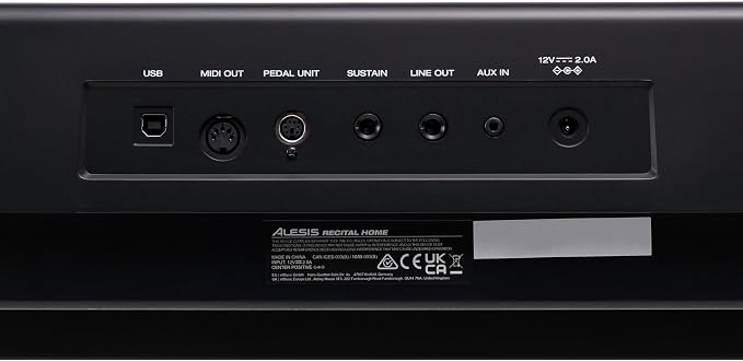Alesis Recital Home Digital Piano with 88 Hammer Action Weighted Keys, Stand, Pedals and Lessons, Black