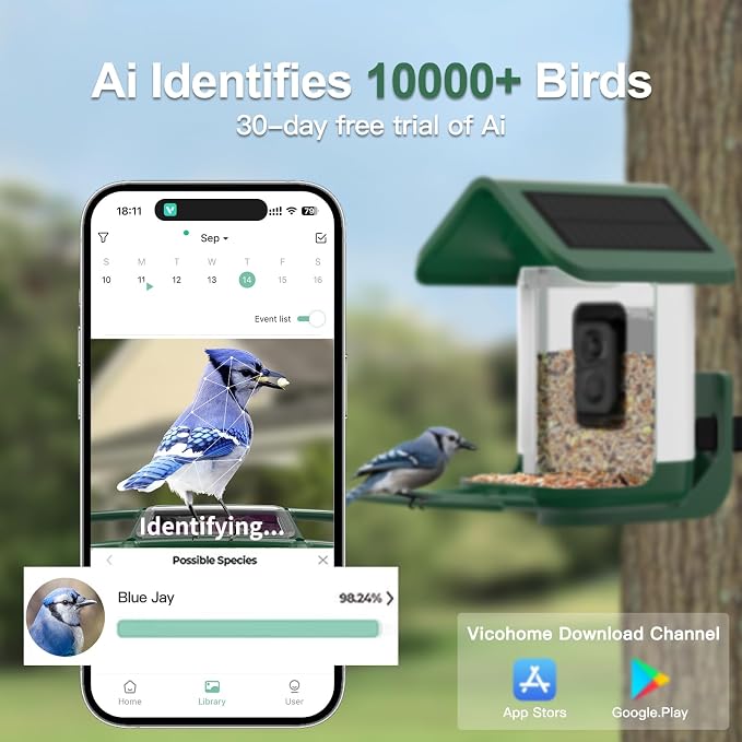 Bird Feeder with Camera Solar Powered : Smart Camera Bird Feeder 2K Live Feed Cam for Outdoor Backyard - Ai Identify Auto Capture Videos Pictures, Gifts for Birdlover Mom Dad, 2.4GHz WiFi