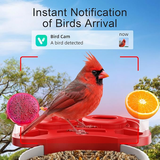 SV3C Bird Feeder with Camera, Smart Bird Feeder Camera with AI Identify BirdSpecies, Solar Powered, Instant Alerts, 2K HD Video, Various DIY Addons, 2.4G WiFi, Gift for Mom Dad and Birdlover (Red)