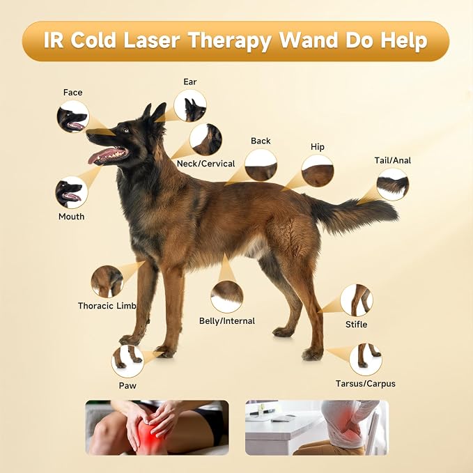 5000mAh Infra Red Light Cold Laser Therapy Device for Dog Pain Relief Low Level Infrared Laser Therapy Machine Pet 808 650nm Professional Vet LLLT Horse Portable Healing Treatment Home Muscle Relax