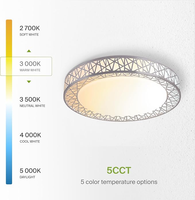 ASD 20 Inch LED Flush Mount Ceiling Light Fixture for Bedroom, 42W 2474LM 5CCT 2700K-5000K, Dimmable Lights, Dining, Living Room, Kitchen Lamps, Modern Home Lighting Fixtures, Nickel, ETL, 2 Pack