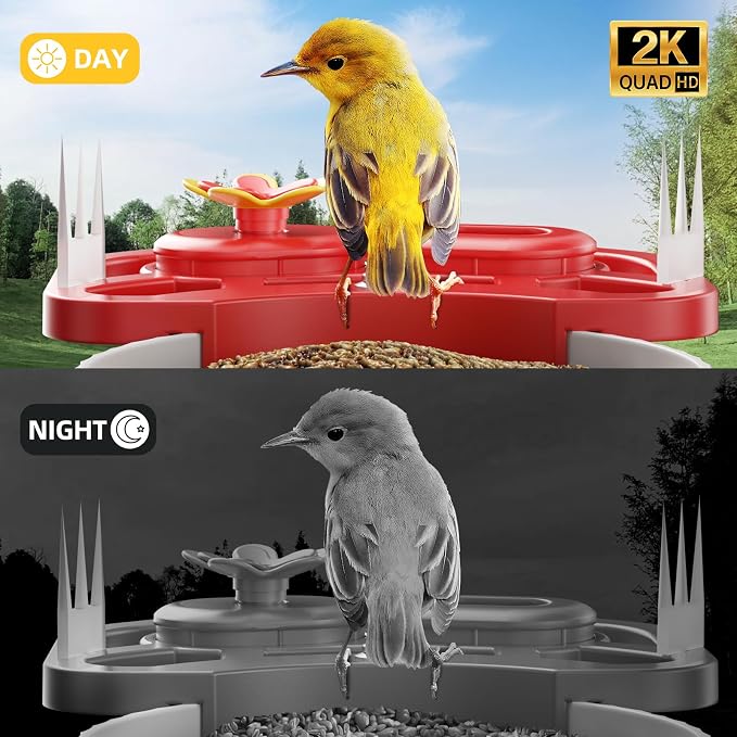 SV3C Bird Feeder with Camera, Smart Bird Feeder Camera with AI Identify BirdSpecies, Solar Powered, Instant Alerts, 2K HD Video, Various DIY Addons, 2.4G WiFi, Gift for Mom Dad and Birdlover (Red)