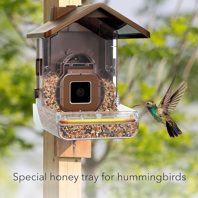 Wasserstein Bundle - Bird Feeder Camera Case & Black Solar Panel (2W 5V) Compatible with Ring Stick Up Cam Battery (Camera NOT Included)