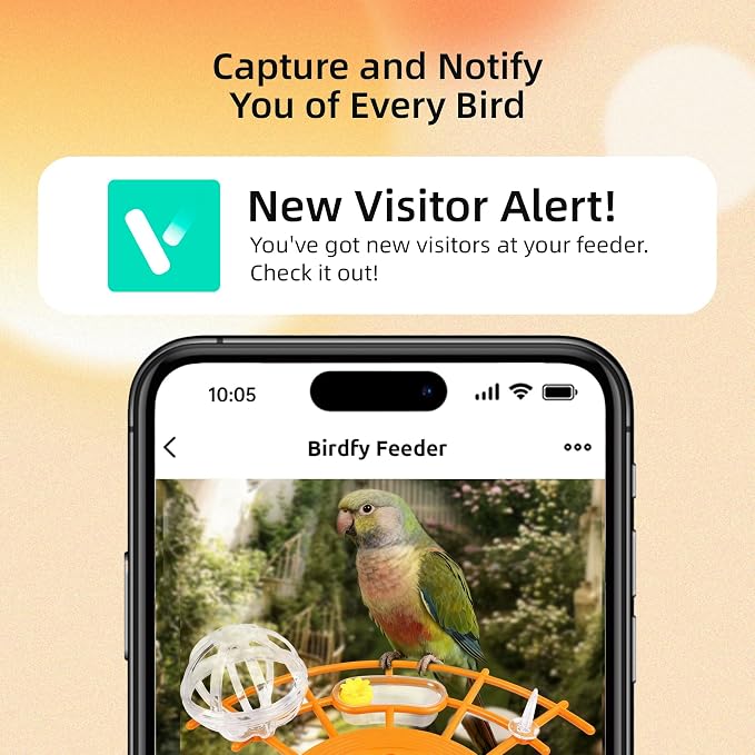 Bird Feeder with Camera,AI Identify Birds Species,Solar Powered,Auto Record Videos in Backyard,Instant Notifications,Ideal Gift for Family and Bird Lovers (Orange)