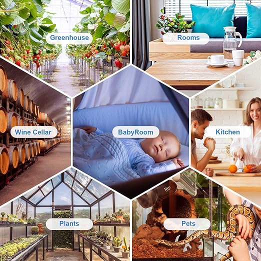 Inkbird IBS-P01R Wireless Pool Thermometer, Inkbird Smart Thermometer, IBS-TH2 Freezer Wireless Thermometer Bluetooth Temperature Sensor (Temperature Sensor ONLY) Bundle
