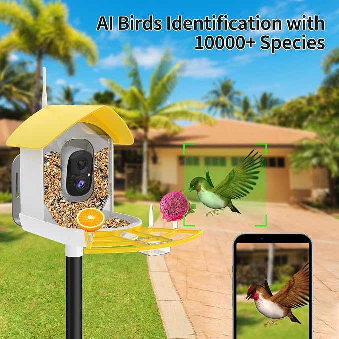 Smart Bird Feeder with Camera, AI Identify Birds Breed, Solar-Powered WiFi FHD 2K Live Camera, Auto Capture Backyard Garden Bird Watching, Motion Detection, Cloud and SD Card Storage,Yellow