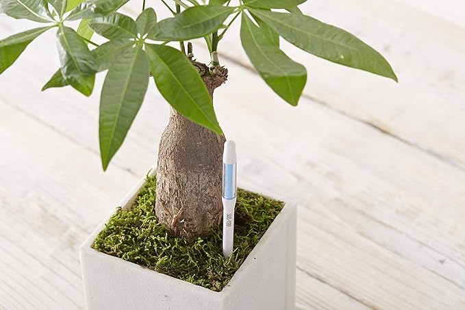 Sustee Aquameter Medium (Green Refillable) - Plant Soil Moisture Sensor - Best for Potted Plants - Probe, Meter, Indicator