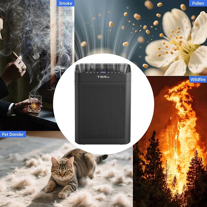 Air Purifier for Home Large Room Bedroom Up to 3000 Sq Ft, H13 Hepa Double-Sided Air Filter Purifier with PM 2.5 Display Air Quality Sensor, Air Cleaner for Bedroom, Dust, Pets, Smoke, Pollon 22dB