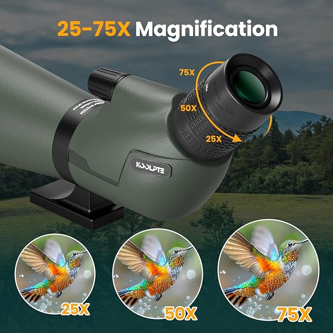 25-75x85 Spotting Scope with ED Glass, Phone Adapter, Tripod & Carrying Bag - Fully Multi-Coated BAK4 Waterproof Zoom Spotter Scope for Bird Watching, Wildlife Viewing, Hunting (Green)