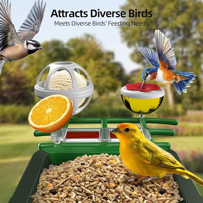 3K HD Smart Bird Feeder with Camera, 2.4GHz WiFi Solar Powered Smart Feeder, AI Bird Species Identification & Real-Time App Alerts, Chew-Proof & Waterproof for Outdoors（Green）-1