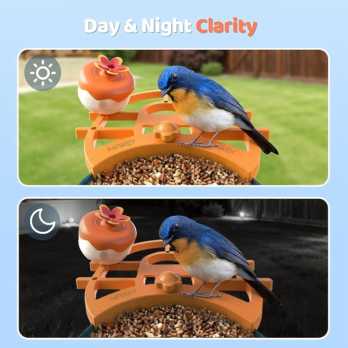 Smart Bird Feeder with Camera Solar Powered, 2.4G Camera Bird Feeders for Outside, 2K HD Video Live Stream, AI Identification 11000+ Bird Species, Ideal Gifts for Bird Lovers