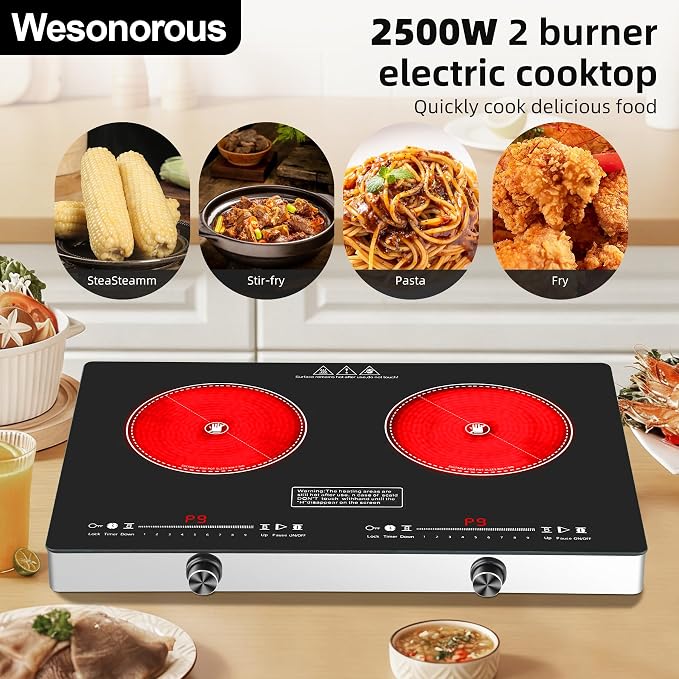 Electric Cooktop,110V 2500W Electric Stove Top with LED Knob Control,9 Power Levels, Kids Lock & Timer,Overheat Protection stove,24 Inch 2 burner cooktop