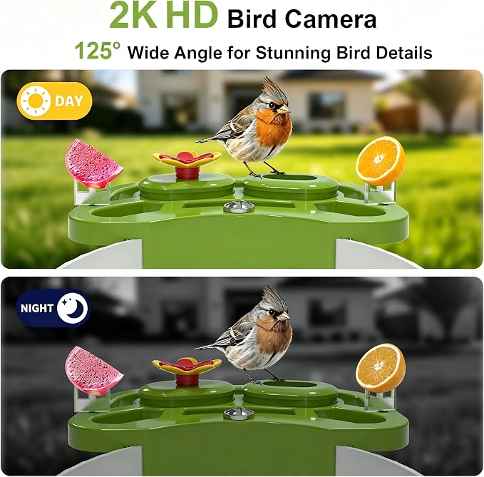 NEEZUKAR Smart Bird Feeder with Camera Solar Powered, AI Species Identification, 2K HD Video, Instant Arrival Alerts, Weatherproof Design for Outdoor, Best Gift for Bird Lovers(Green)