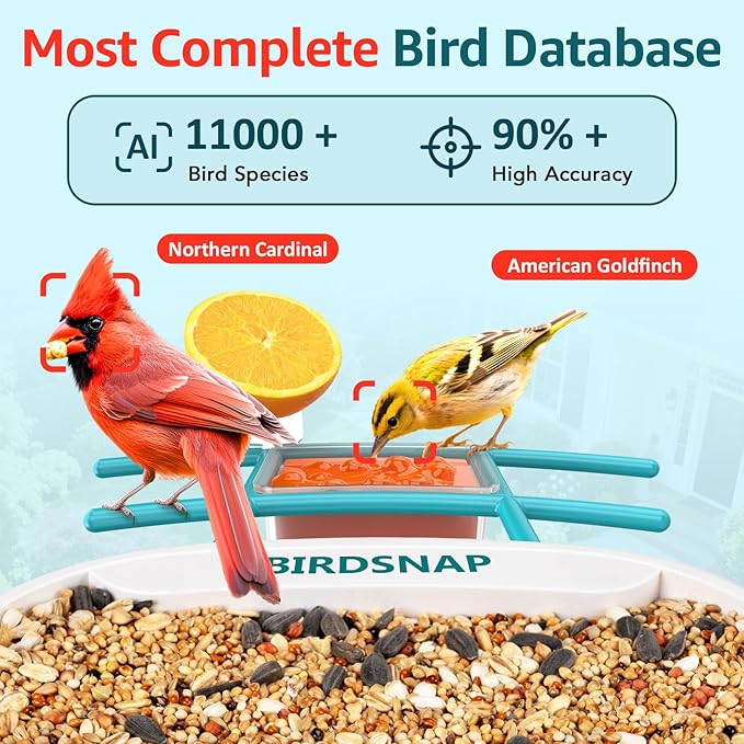 birdsnap® TUC Bird Feeder with Camera 2K HD Live with 32GB Card Auto Detect & Notify AI Identify Camera Birds Feeders Solar Powered Wireless Outdoors Backyard Gift for Mom Dad Birds Lover, 2.4G WiFi