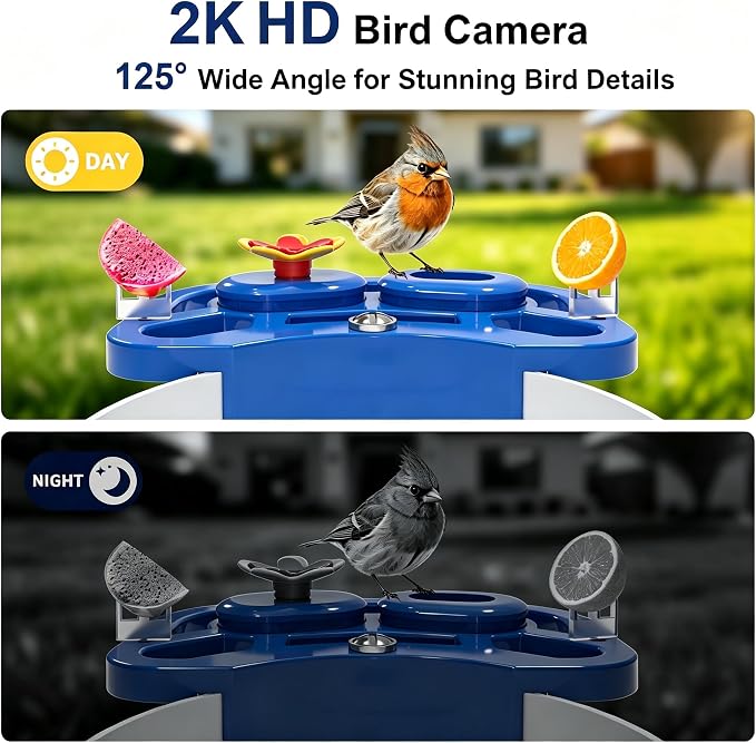 NEEZUKAR Smart Bird Feeder with Camera Solar Powered, AI Species Identification, 2K HD Video, Instant Arrival Alerts, Weatherproof Design for Outdoor, Best Gift for Bird Lovers(Blue)