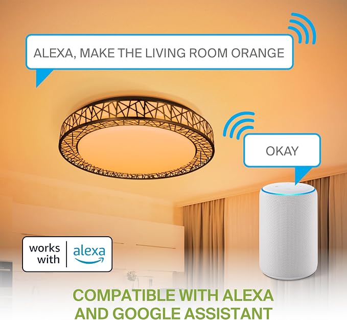 ASD 20 Inch Smart RGBW Flush Mount Ceiling Light with Remote - Matte Black 42W 120V 2700-6500K Dimmable Ceiling Light Fixture, WiFi App Control RGB Lights, Alexa & Google Assistant - ETL