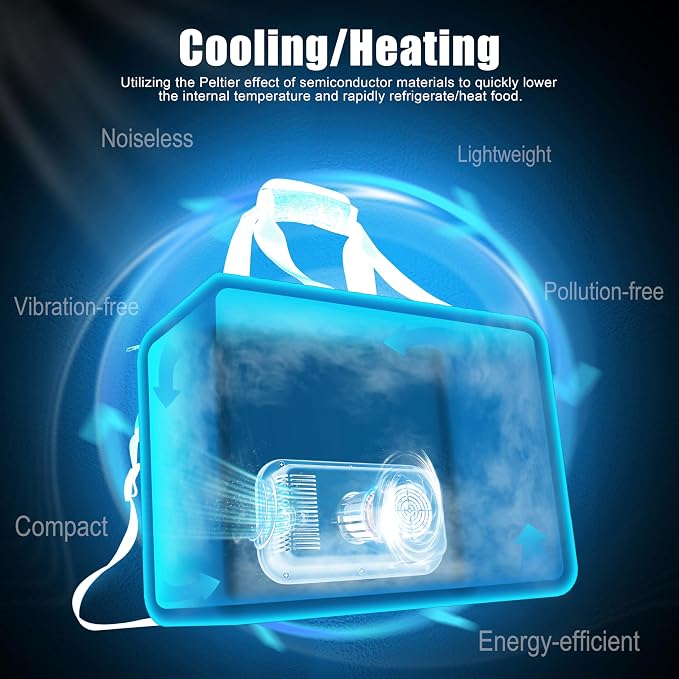 outohome Electric Portable Cooler Plug in 12V Car Cooler Bag, Warmer Bag for vehicle, Lunch Bag for Family