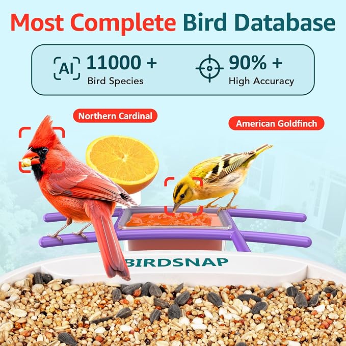 birdsnap® TUC Bird Feeder with Camera 2K HD Live with 32GB Card Auto Detect & Notify AI Identify Camera Birds Feeders Solar Powered Wireless Outdoors Backyard Gift for Mom Dad Birds Lover, 2.4G WiFi