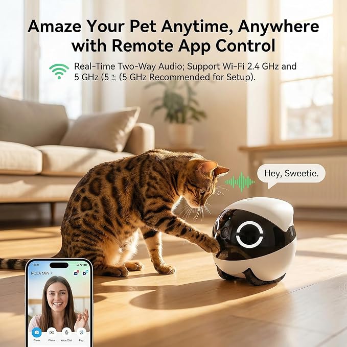 Mini Pet Camera Robot - Enabot EBO ROLA 2K HD Indoor Movable Camera with 5000mAh Battery, Two-Way Talk, Night Vision, Motion Detection, One-Touch Call for Pet Monitoring & Family Companion