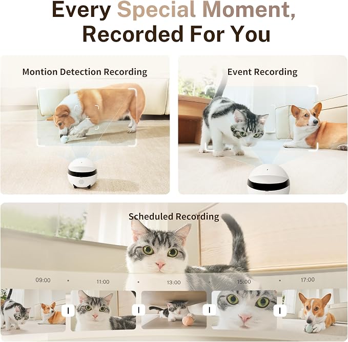 Enabot EBO ROLA Mini Pet Camera Robot: 2K FamilyBot Mobile Home Companion | Whole-Home Mobility, Two-Way Talk, Night Vision, Long Battery Life, Local Storage, Long Distance Gift
