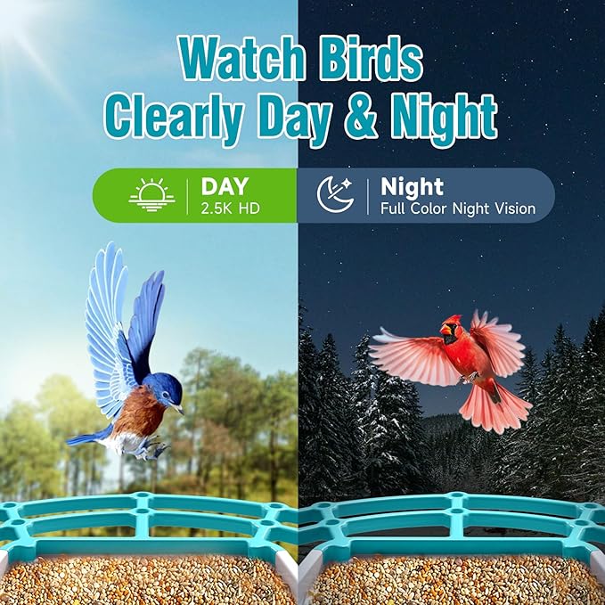 No-Monthly-Fees Solar Bird Feeder w/ 4MP Camera, Free AI Birds Species Identification, 2.5K Smart Bird House with Cam, Instant Arrival Alerts, Squirrel-Proof, Ideal