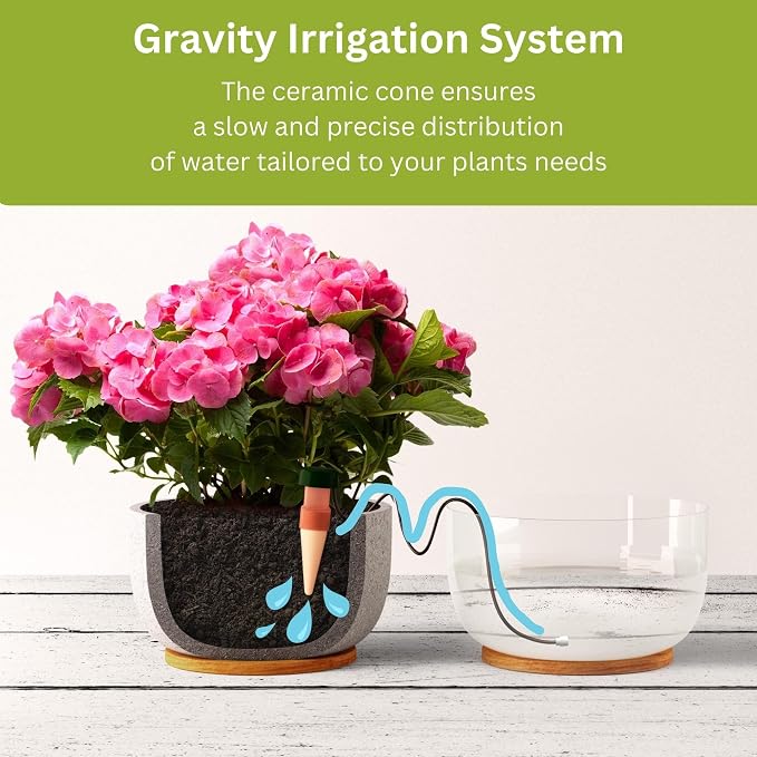 Blumat Classic Self-Watering Stakes - Prevents Overwatering and Underwatering for Healthy Growth While You are Away - Ideal for Indoor Plant Watering (12 Pack w/o Adapter)
