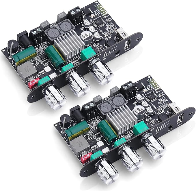 2 Pack ZK-1001U Bluetooth 5.3 Mono Amplifier Board with TWS & Boost Circuit, Mini Audio Amp for Home Outdoor DIY Speakers with 100W Power Output, Treble and Bass, USB/AUX/BT Input, DC 9-24V