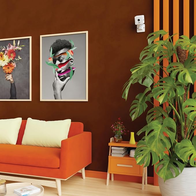 Lorex Connect 2K Indoor Wi-Fi Camera | New APP | Color Night Vision | Person & Face Recognition | Versatile Mounting | 2-Way Talk | 24/7 Recording | Privacy Mode | Local SD or Cloud Storage Option