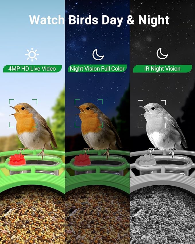 Smart Bird Feeder with Camera, Solar Powered, 2K HD & AI Identification, Color Night Vision, Weatherproof, Live View & Instant Alerts | Ideal Gift for Bird Lovers
