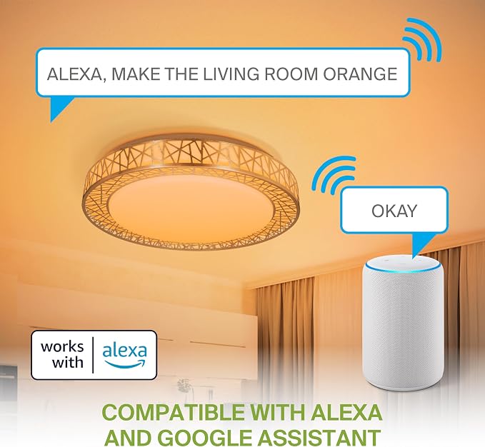 ASD 20 Inch Smart RGBW Flush Mount Ceiling Light with Remote - Brushed Nickel 42W 120V 2700-6500K Dimmable Ceiling Light Fixture, WiFi App Control RGB Lights, Alexa & Google Assistant - ETL