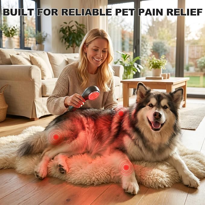 Handheld Red Light Therapy Device, Portable Near Infrared Light Therapy for Body, 650nm & 808nm Wireless Red Light Therapy Wand for Pain Relief Joint, Muscle Pain for Dogs & Humans