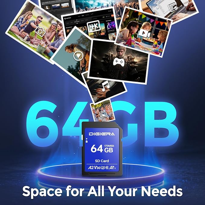 DIGIERA 64GB LS100 SDXC UHS-I Memory Card - up to 170MB/s, C10, U3, V30, 4K UHD, SD Card for Computers, Digital Cameras, Home Theatre Devices, Car Navigation Systems (1 Pack)