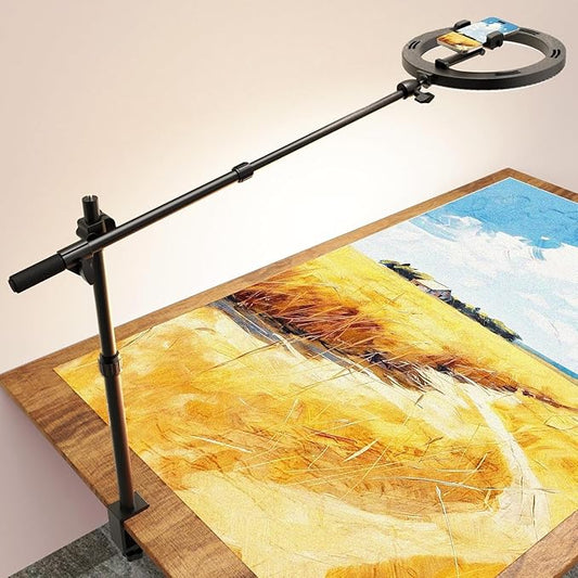 Overhead Phone Camera Mount for Desk Tripod - 10" Ring Light with Stand - Solid Ring Light with Clamp for Artist Drawing, Video Recording,CRI >95 RingLight for Tabletop