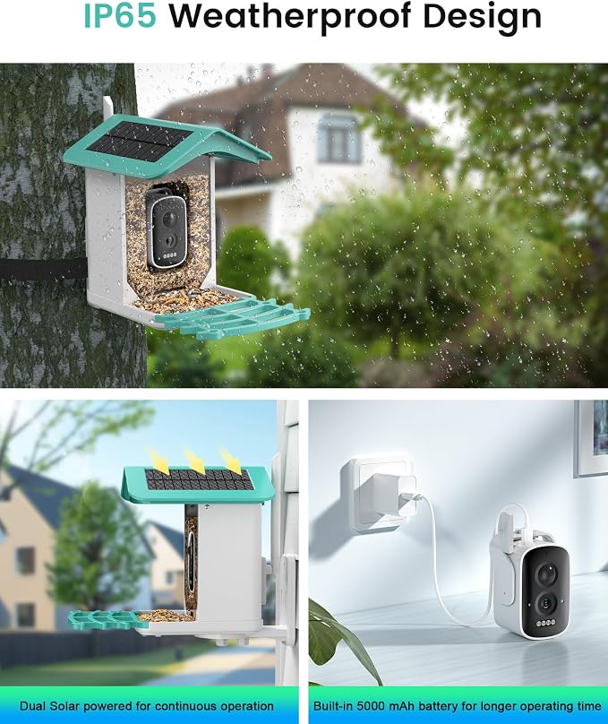 Smart Bird Feeder Camera (Dual Panel), Solar Powered, Identify 11,000+ Birds with AI, Auto Capture & Notify, 2K HD Footage, Outdoor Bird Watching, Ideal Gift for Birds Lovers.