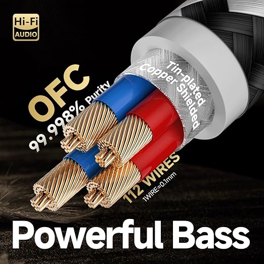 TODN Auidophile RCA Cables 10ft 4-Core-OFC Shielded for HiFi Home Audio | Noise Reduction, 24K Gold-plated Plug, Carbon Fiber Shell, RCA Male to RCA Male, Left and Right Channel, For Turntable/CD/Amp