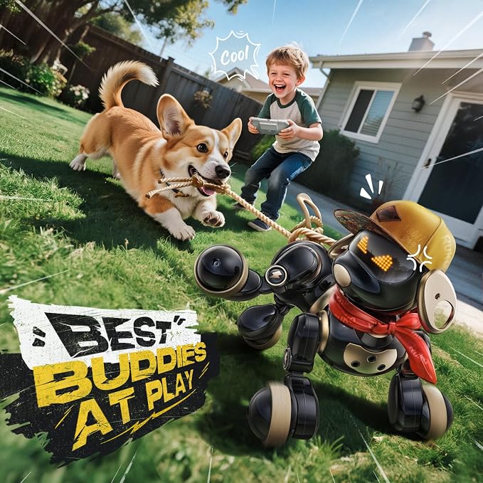 Ruko 18011 Black Gold Robot Dog Toy and 3 Port PD65W USB C Charger