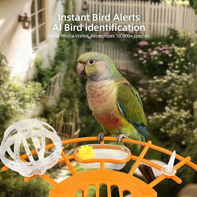 Bird Feeder with Camera,AI Identify Birds Species,Solar Powered,Auto Record Videos in Backyard,Instant Notifications,Ideal Gift for Family and Bird Lovers (Orange)
